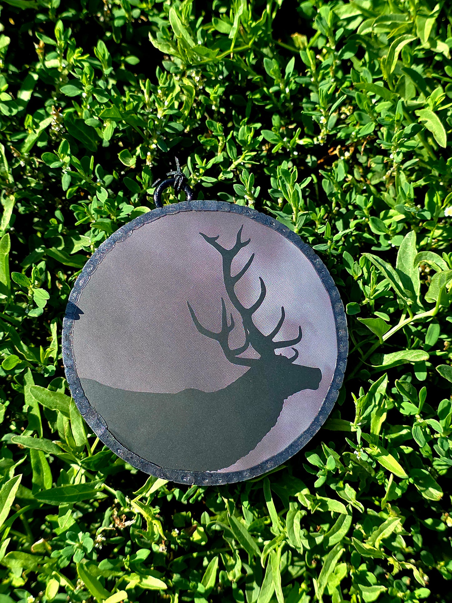 Buck Car Freshie- Scent Dark Ice