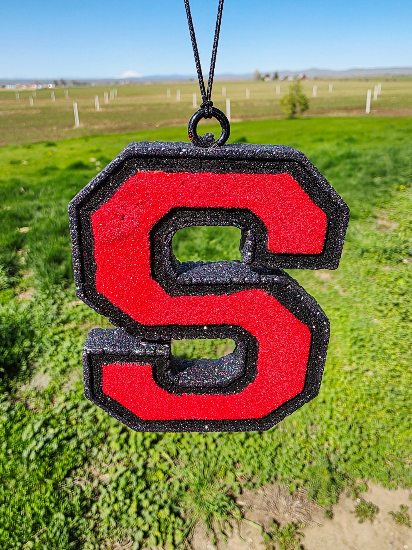 Sunnyside Grizzlies Car Freshie- Scent Black Ice